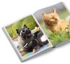 Ein Fotobuch für das Haustier erstellen