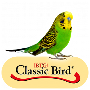 Classic Bird