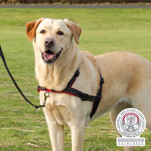 Trixie Trainingsgeschirr Lead'n'Walk Soft S-M
