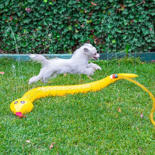 Beeztees Splashy Hundespielzeug Schlange -  150 cm 