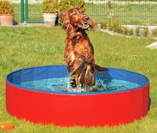 Karlie DOGGY POOL der Swimmingpool für Hunde - Rot-Blau 160 cm