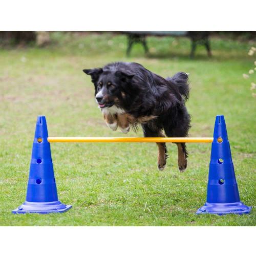 Dog Agility 3er Set Pylonen-Hürden (50cm) + Sprungring 