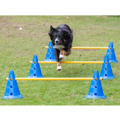 Dog Agility 3er Set Pylonen-Hürden (30cm) + Sprungring 