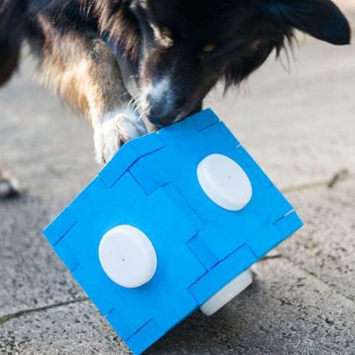 Dog Agility Schnüffel-Cube 