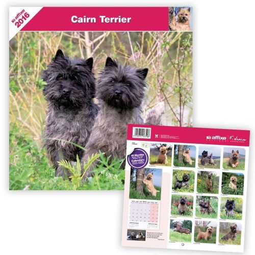 Cairn Terrier-Kalender 2016 
