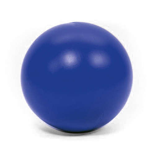 PROCYON Treibball Blau