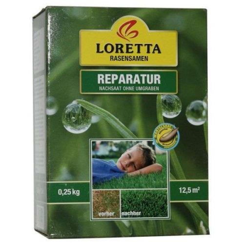 Loretta Reparatur Rasen 