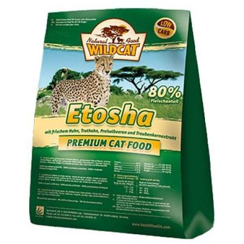 Wildcat Cat Etosha 