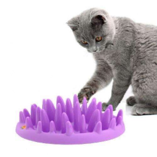 Karlie NORTHMATE CATCH Katzen-Fütterungsgerät/Intelligenzspielzeug 