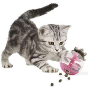 CATIT Snackball für Katzen oder kleine Hunde 