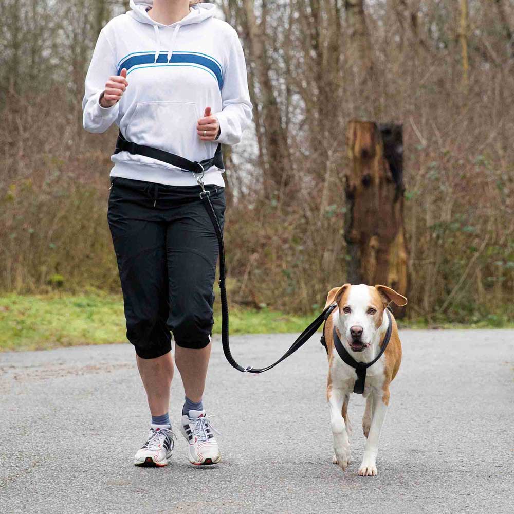 Trixie Bauchgurt mit Leine für mittelgroße und große Hunde 