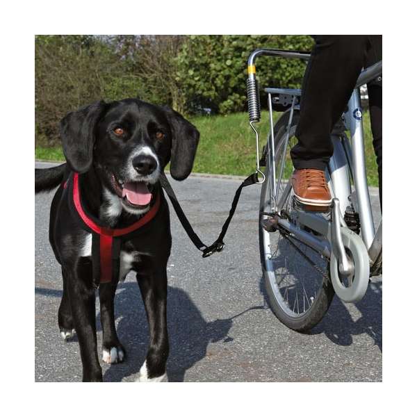 Trixie Biker-Set, Gr. S-M 
