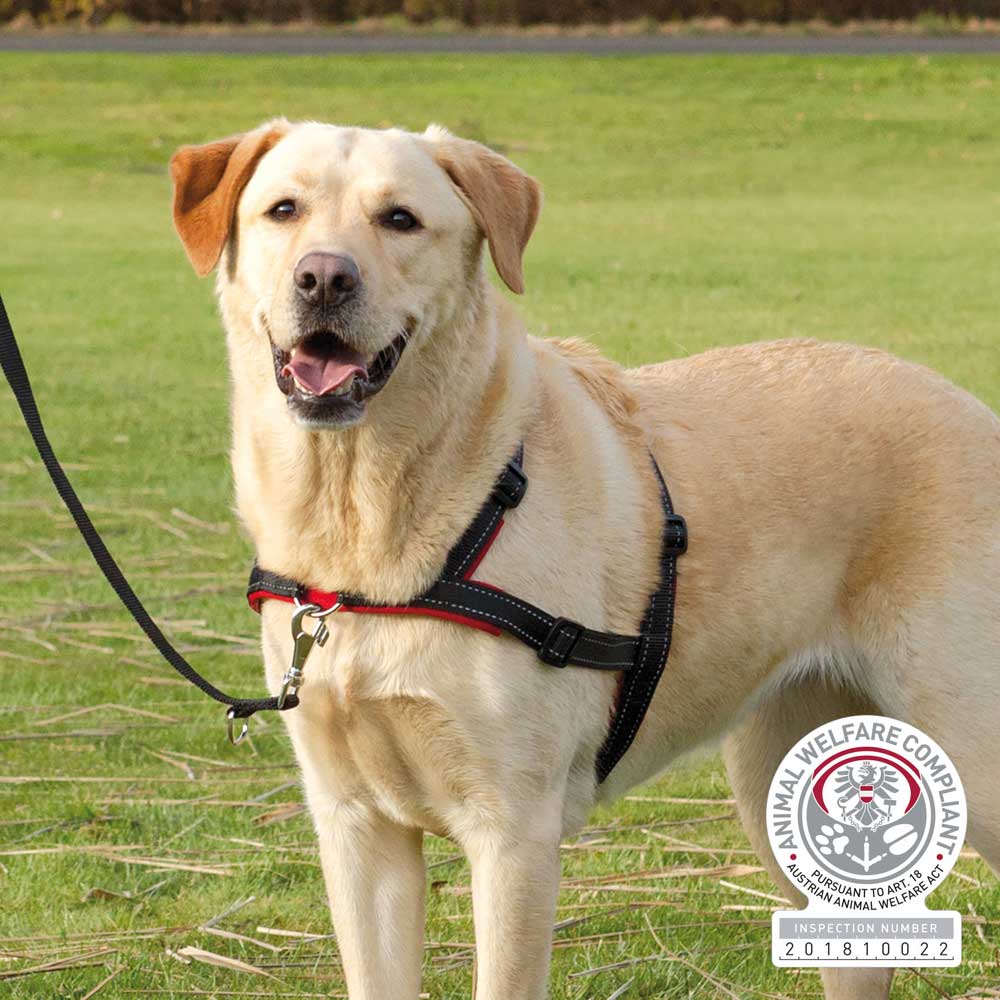 Trixie Trainingsgeschirr Lead'n'Walk Soft 