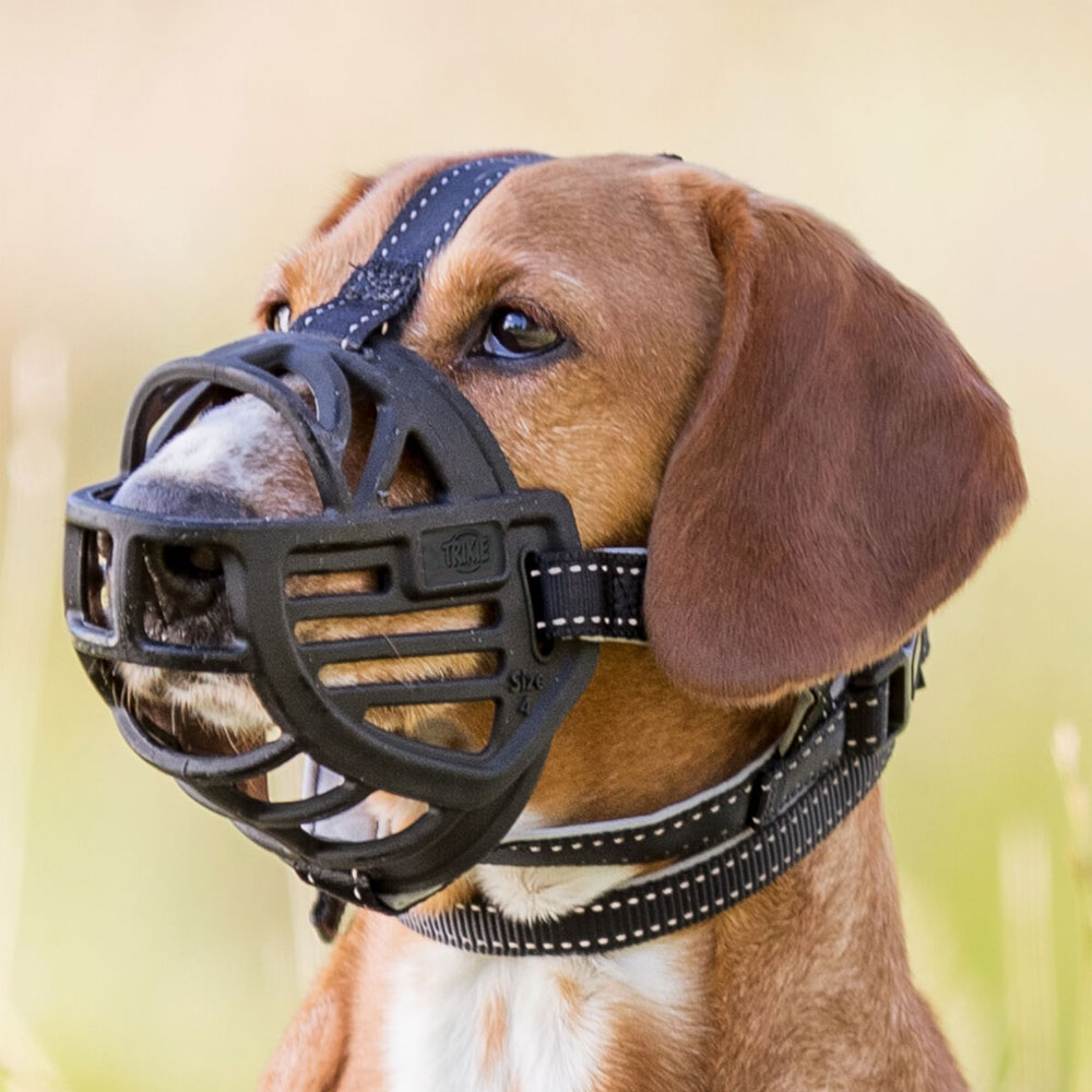 Trixie Maulkorb Muzzle Flex, Gummi L