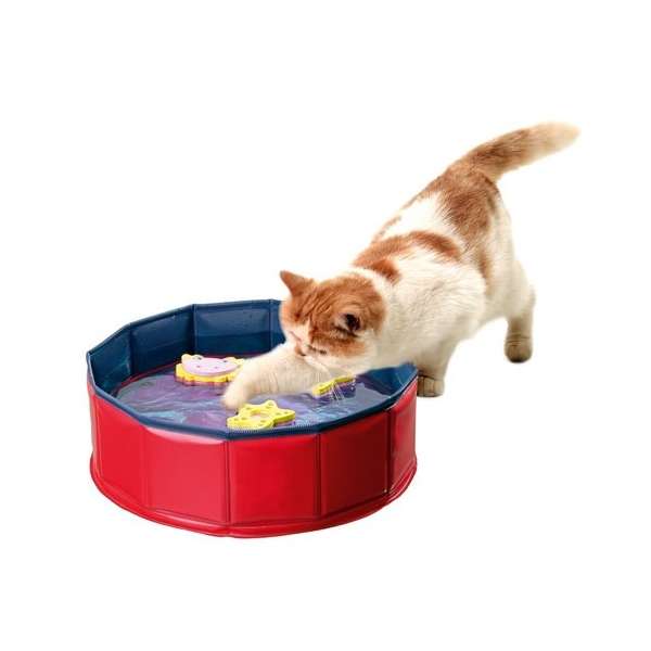 Karlie Kitty Pool 