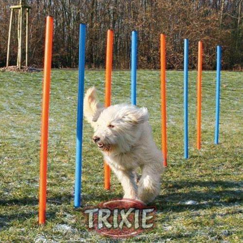 Trixie Agility Slalom 