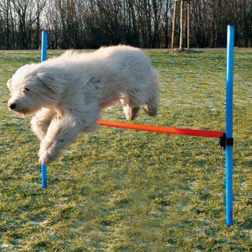 Trixie Agility Hürde 