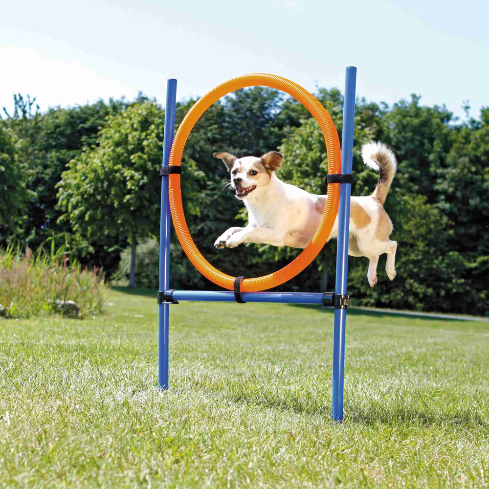 Trixie Agility Ring 