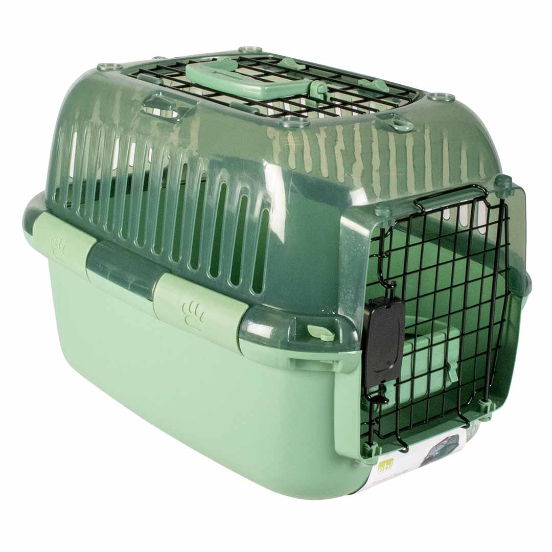 EBI Transportbox Adventurer - transparent/grün 