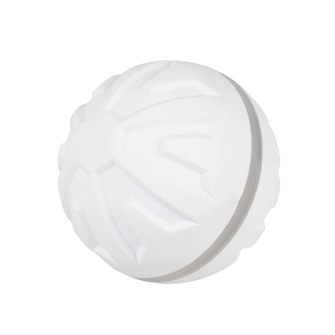 EBI Dog Toy Boogie Ball 