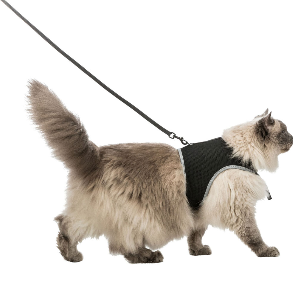 Trixie Softgeschirr mit Leine XL - schwarz 