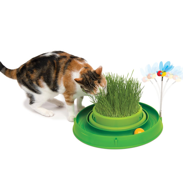 CATIT Play-n-Scratch mit Grasgarten - Grün 