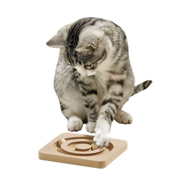 Karlie Kitty Brain Train Roundabout 