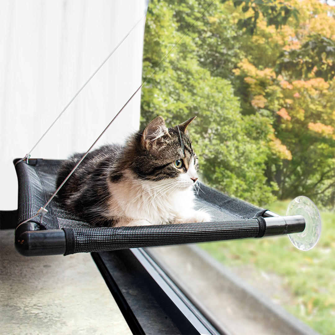 Duvoplus Fensterhängematte - schwarz 
