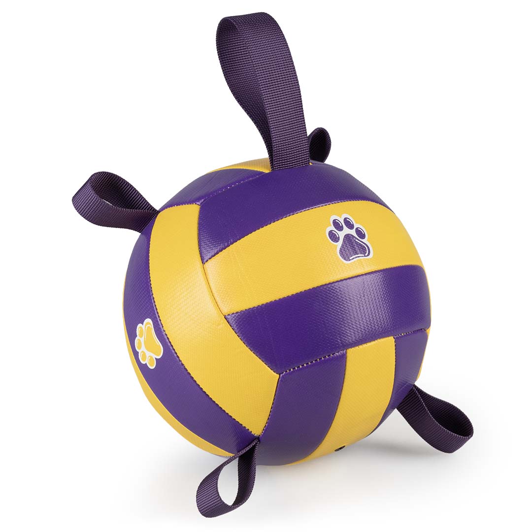 Duvoplus Volleyball mit Pumpe 