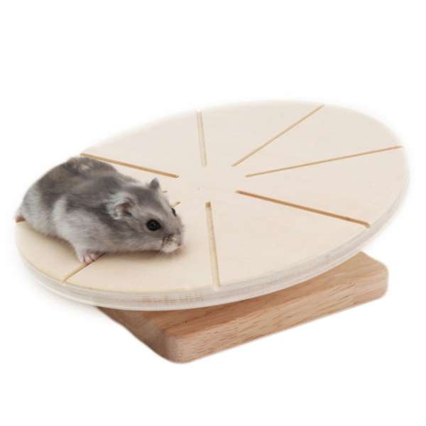 LIVING WORLD Green Laufteller - 20 cm 