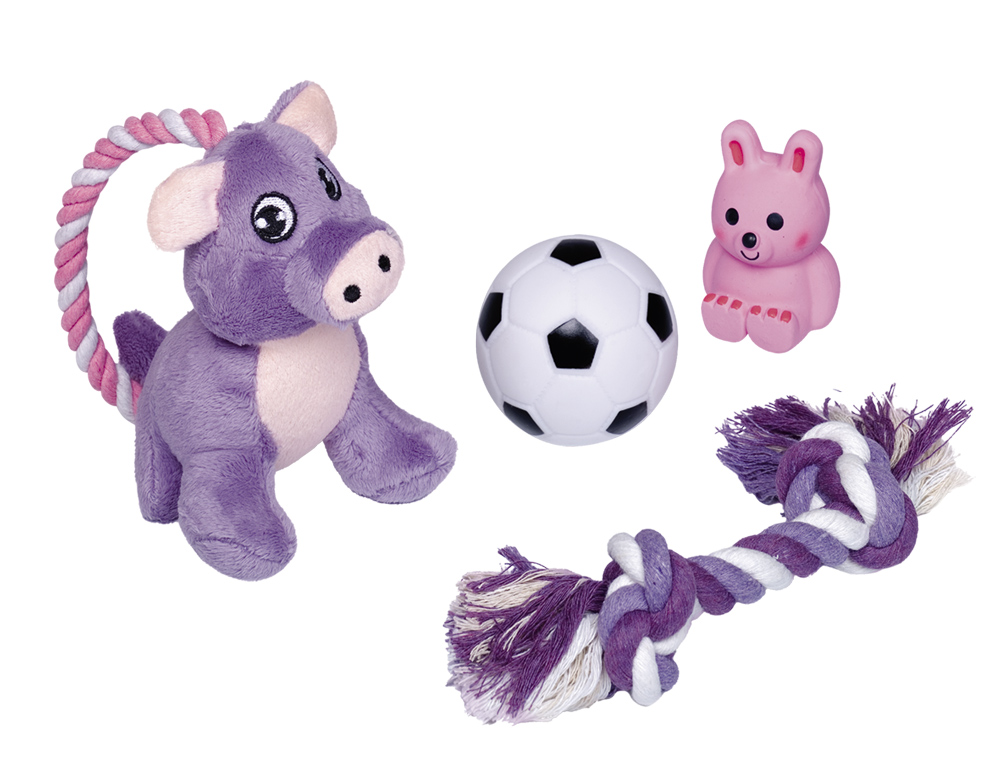 Nobby Puppy Starter Set - 4 teilig 