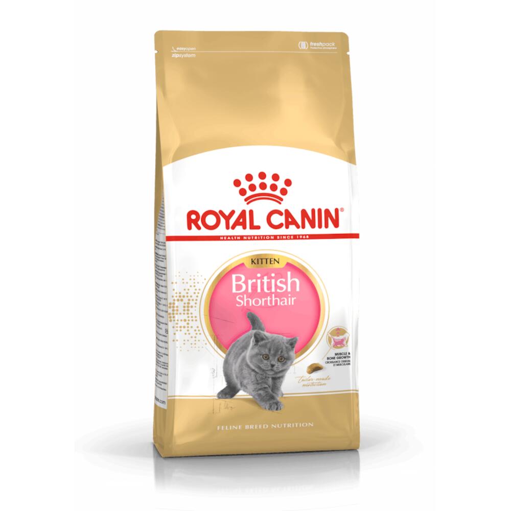Royal Canin Feline British Shorthair Kitten 