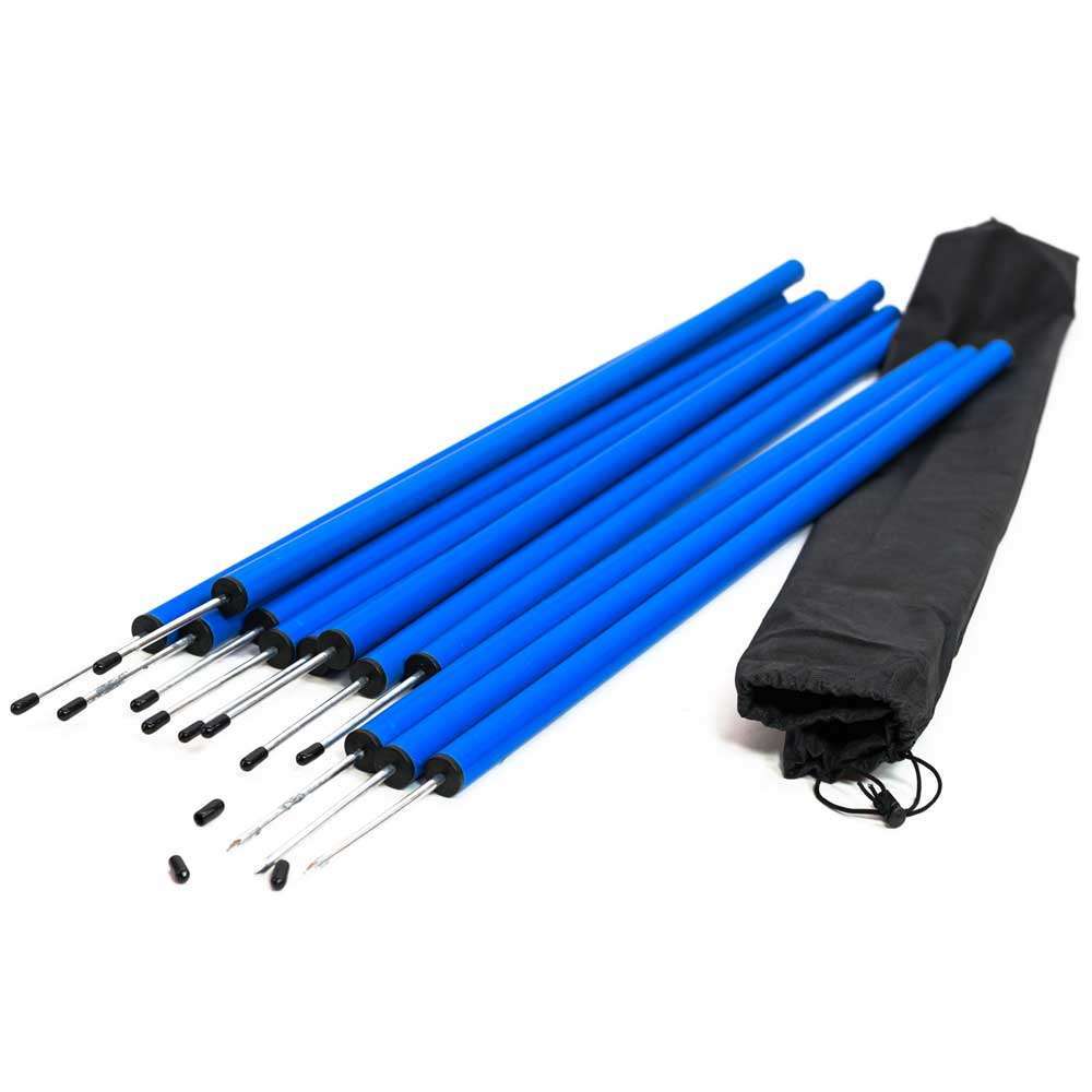 PROCYON Slalom-Set für Einsteiger 