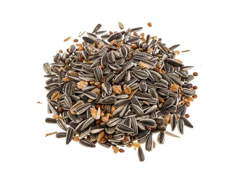 Classic Bird Winterstreufutter 2,5 kg