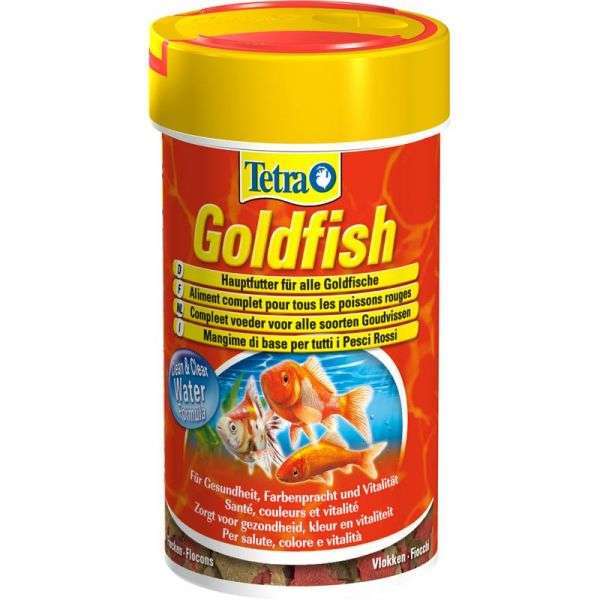 Tetra Goldfish 