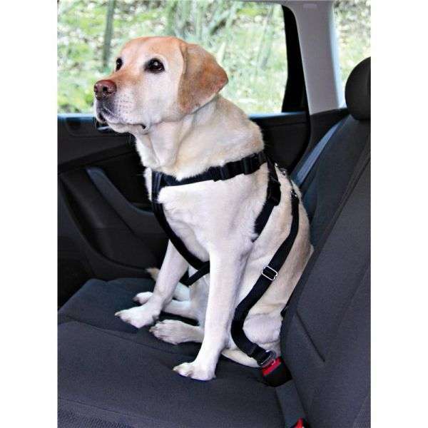 Trixie Auto-Sicherheitsgeschirr M