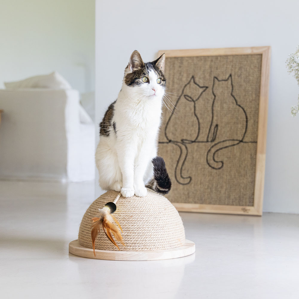 Designed by Lotte Halber Kratzball Vivi 