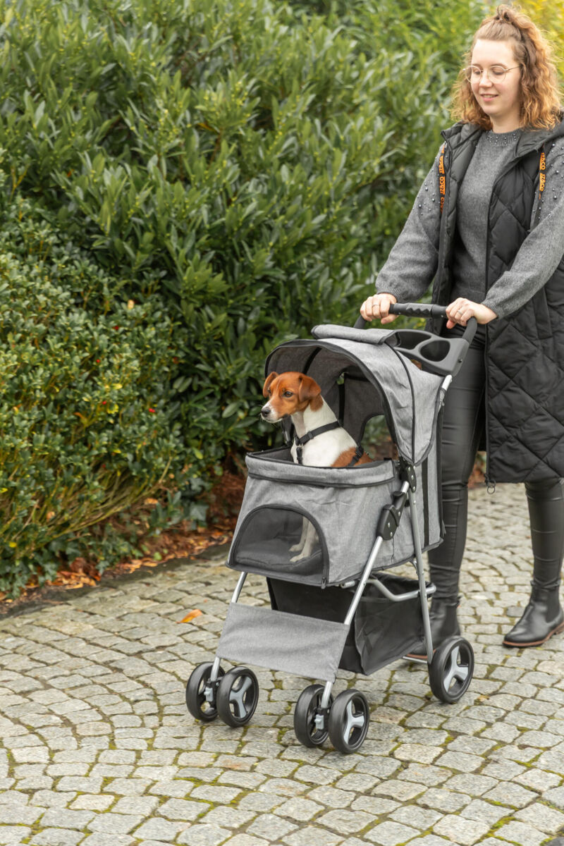 Trixie Buggy für Hunde mit 4 Rädern 