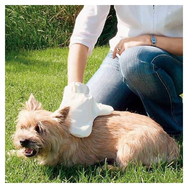 Trixie Fellpflege-Handschuh 