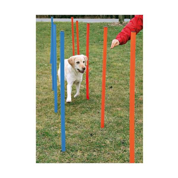 Trixie Agility Slalom 