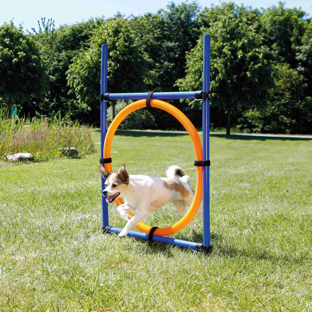 Trixie Agility Ring 