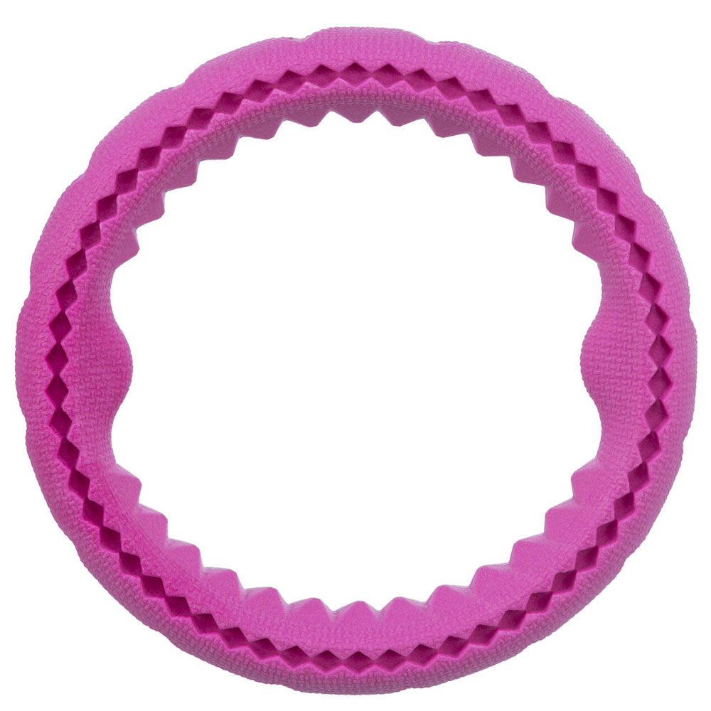 Trixie Ring aus TPR, schwimmfähig 17 cm