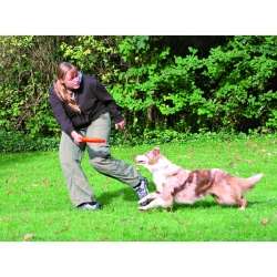 Trixie Dog Disc Frisbee bissfest - 23 cm 