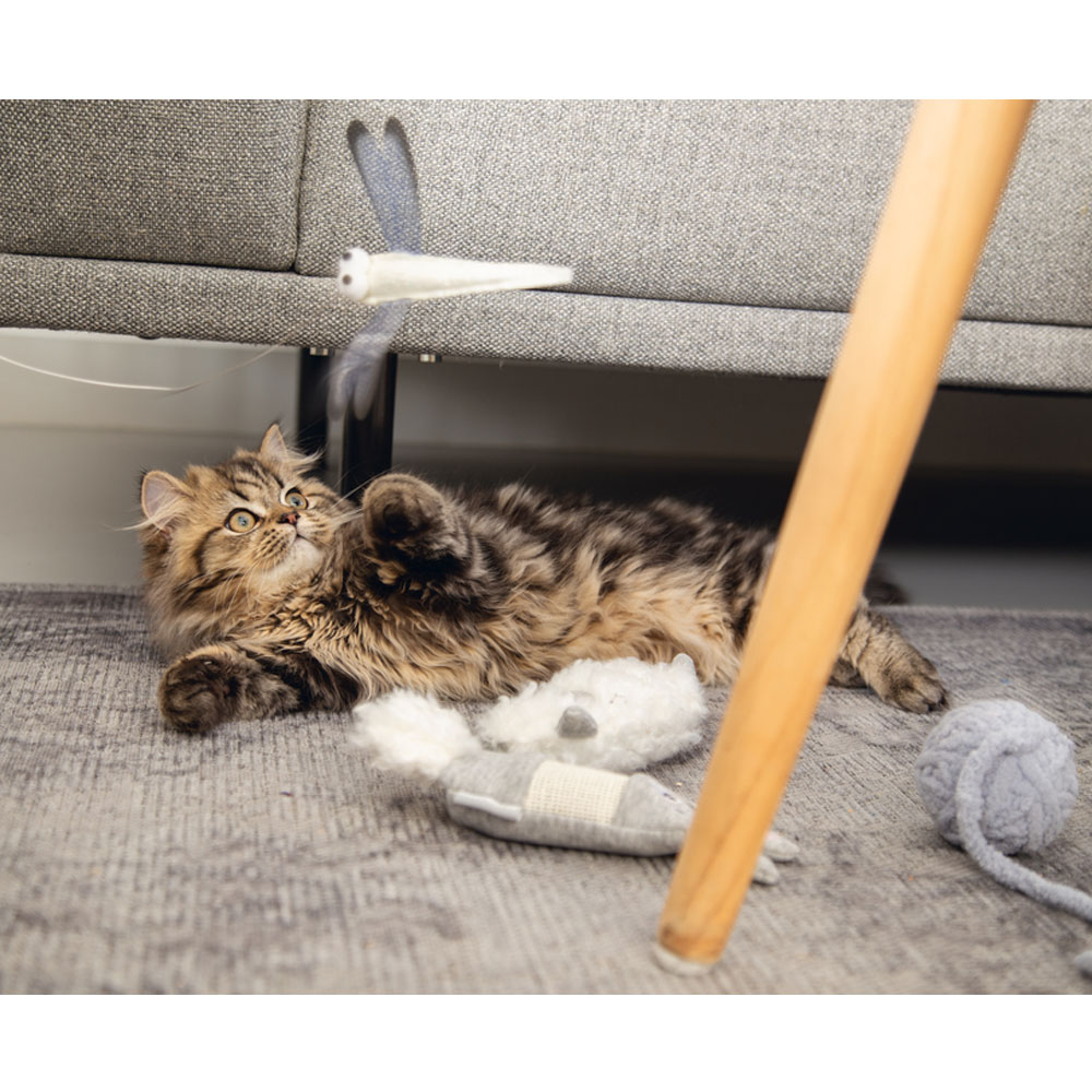 Beeztees Kitten Lama mit Gerstenschalen 