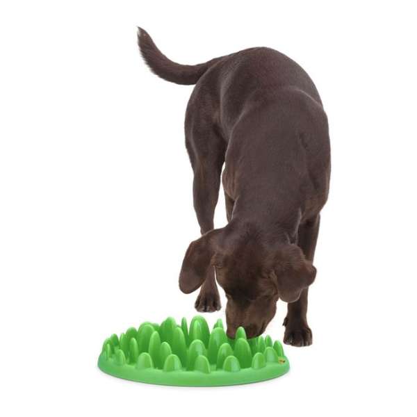 Karlie NORTHMATE GREEN Hunde-Anti-Schling-Spielzeug 