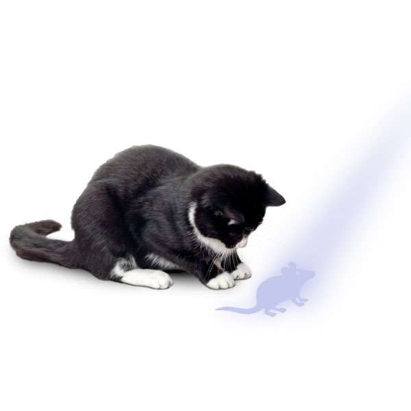 Karlie Flamingo LED Pointer 