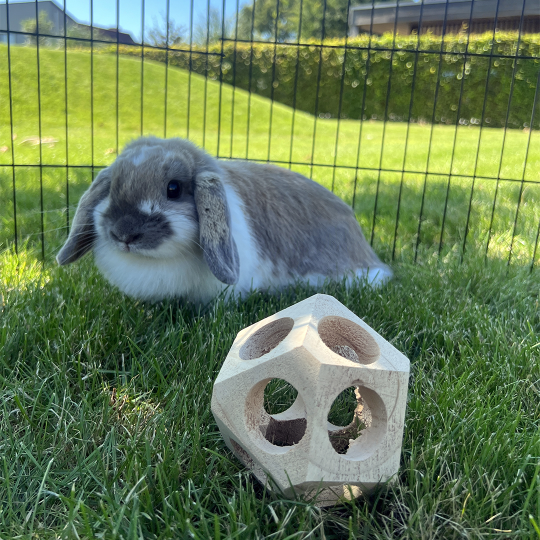 Duvoplus Holz-Spielball 