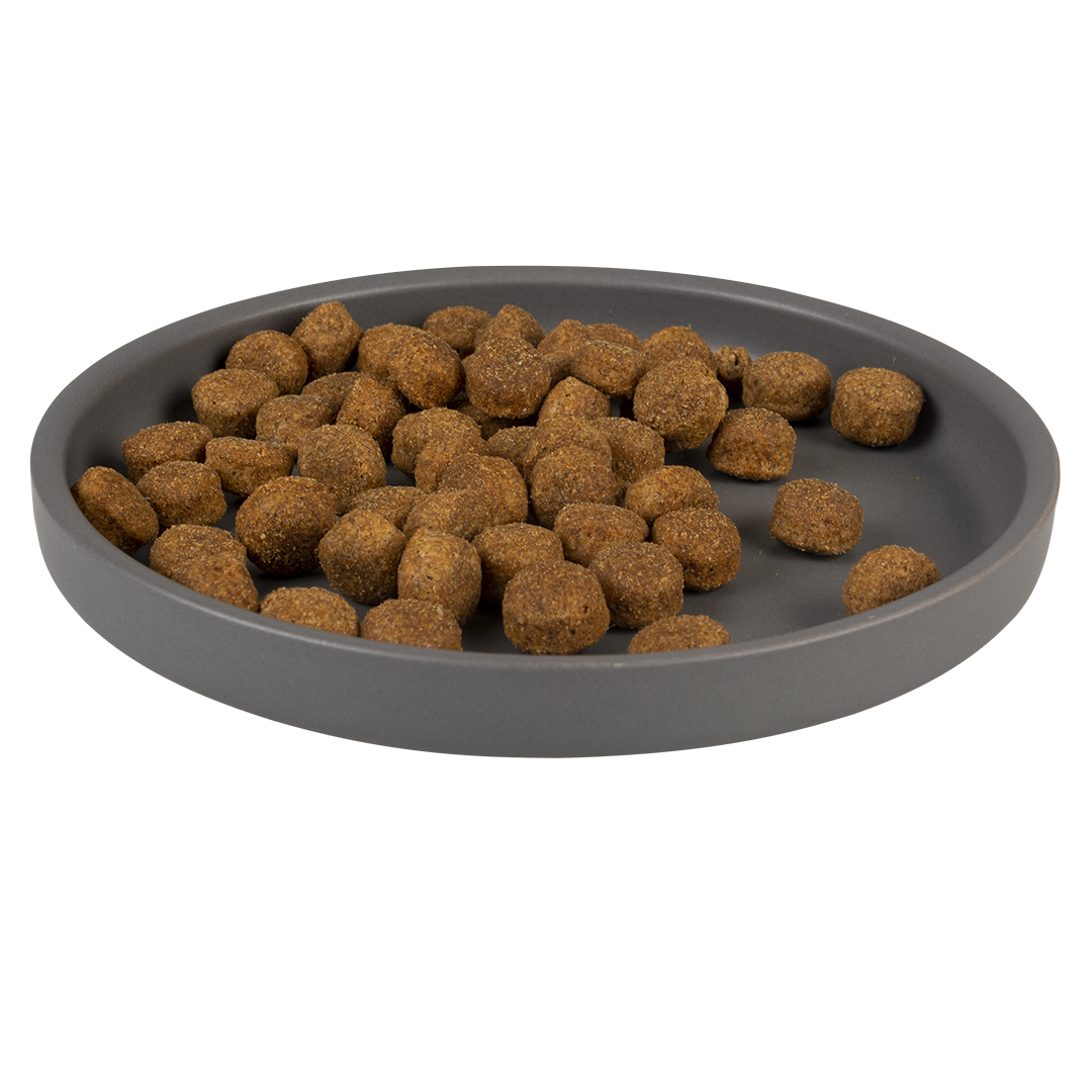 Duvoplus flacher Keramiknapf Stone Hush - grau 