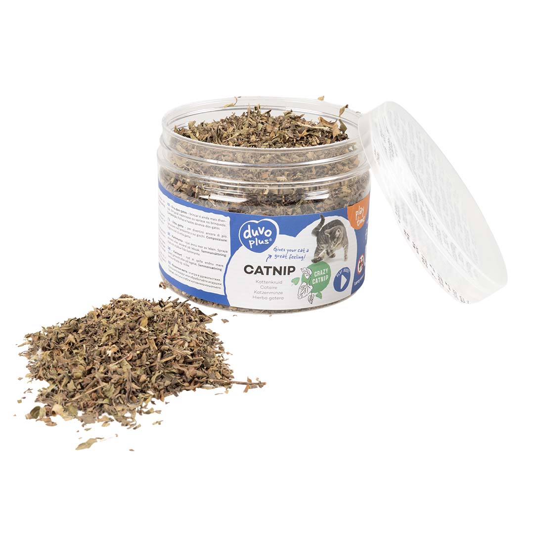 Duvoplus Katzenminze Dose 30g 