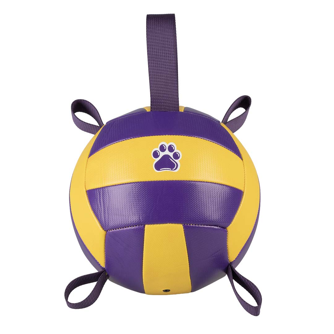 Duvoplus Volleyball mit Pumpe 